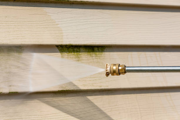 Best Roof Power Washing Services  in Strum, WI